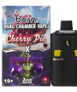 Burn Dual 6g Vape - Cherry Pie + Purple Punch