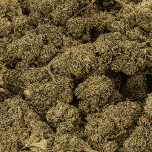 Mint Cake (AA+) - Image 4