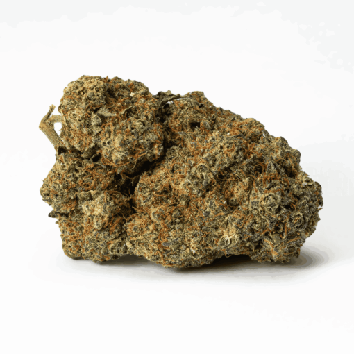 Papaya (AAA) - Image 3