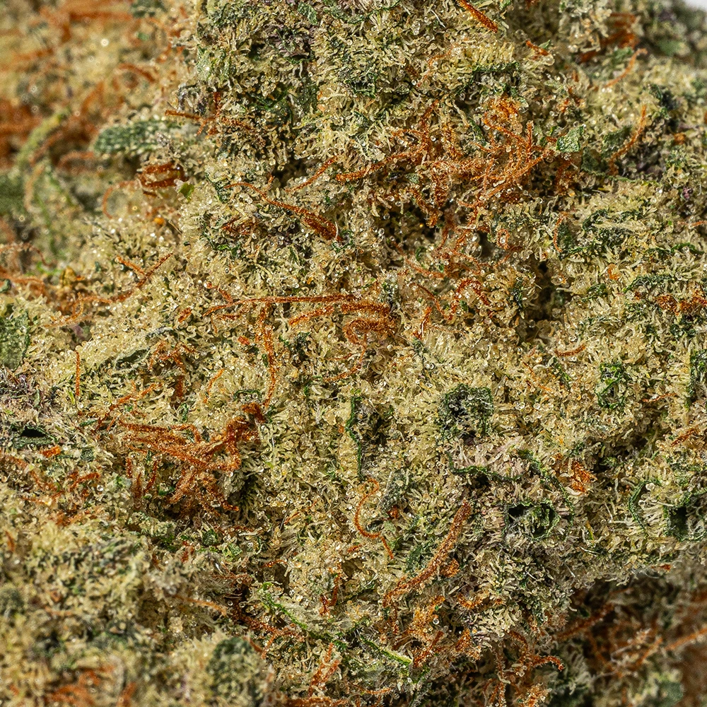 Alien Cookies (AAAA+) - Image 5