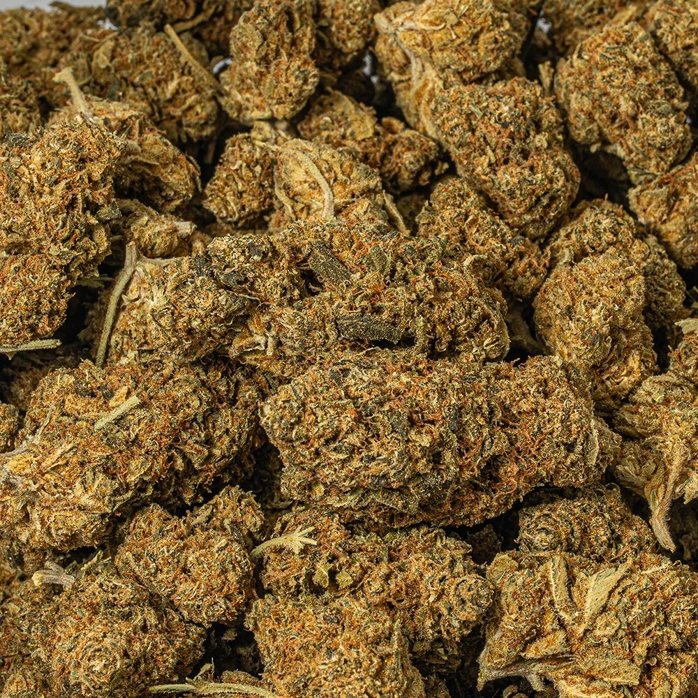 Bubblegum (AA) - Image 5