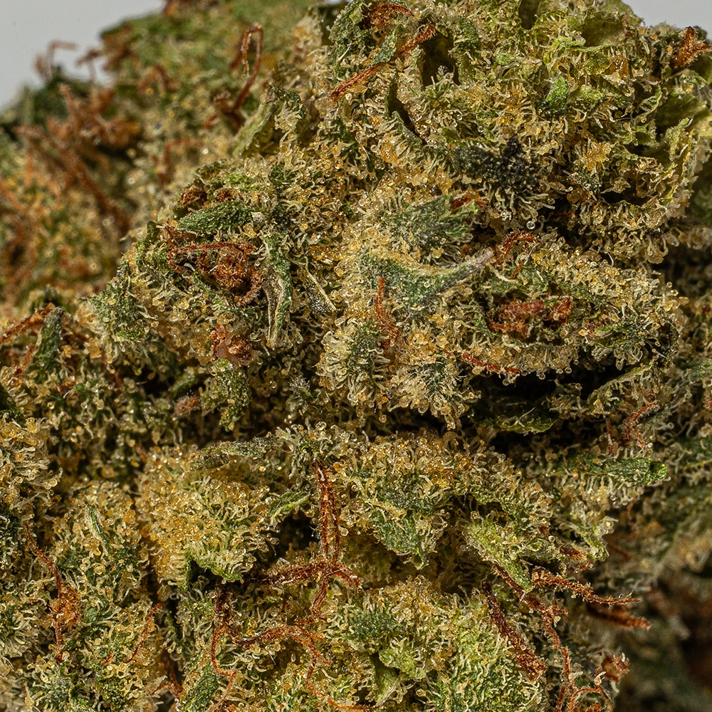 (Smalls) Galactic Gas (AAAA) - Image 5