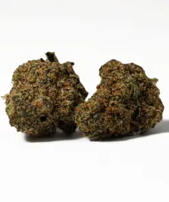 (Smalls) Jack of Spades (AA)