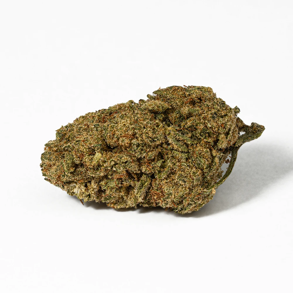 Orange Octane (AA) - Image 3