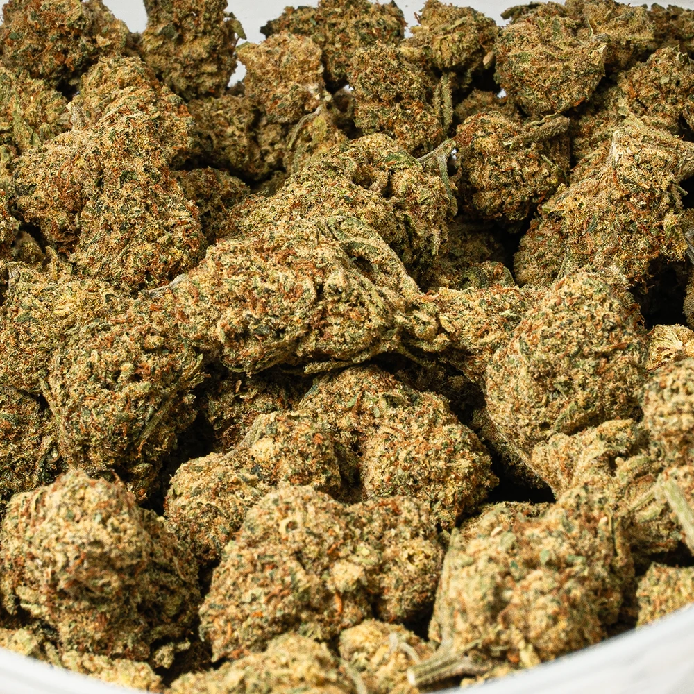 Orange Octane (AA) - Image 4