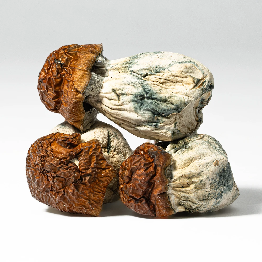 Blue Meanies Mushrooms - Image 2