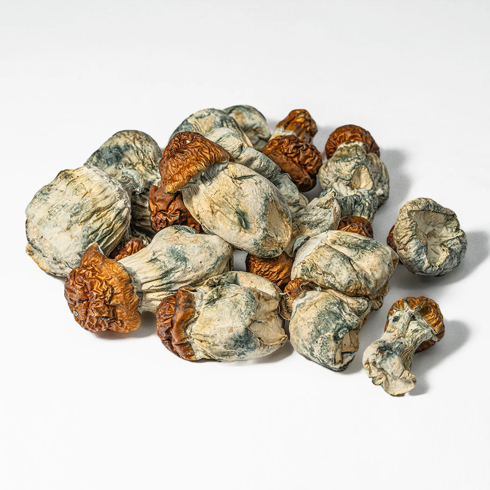 Blue Meanies Mushrooms - Image 4