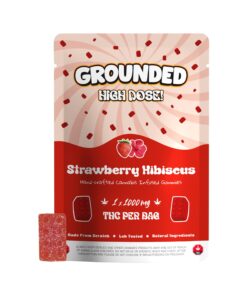 Grounded High Dose Bricks - Strawberry Hibiscus 1000mg