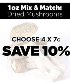 1Oz Mix and Match Dried Mushrooms
