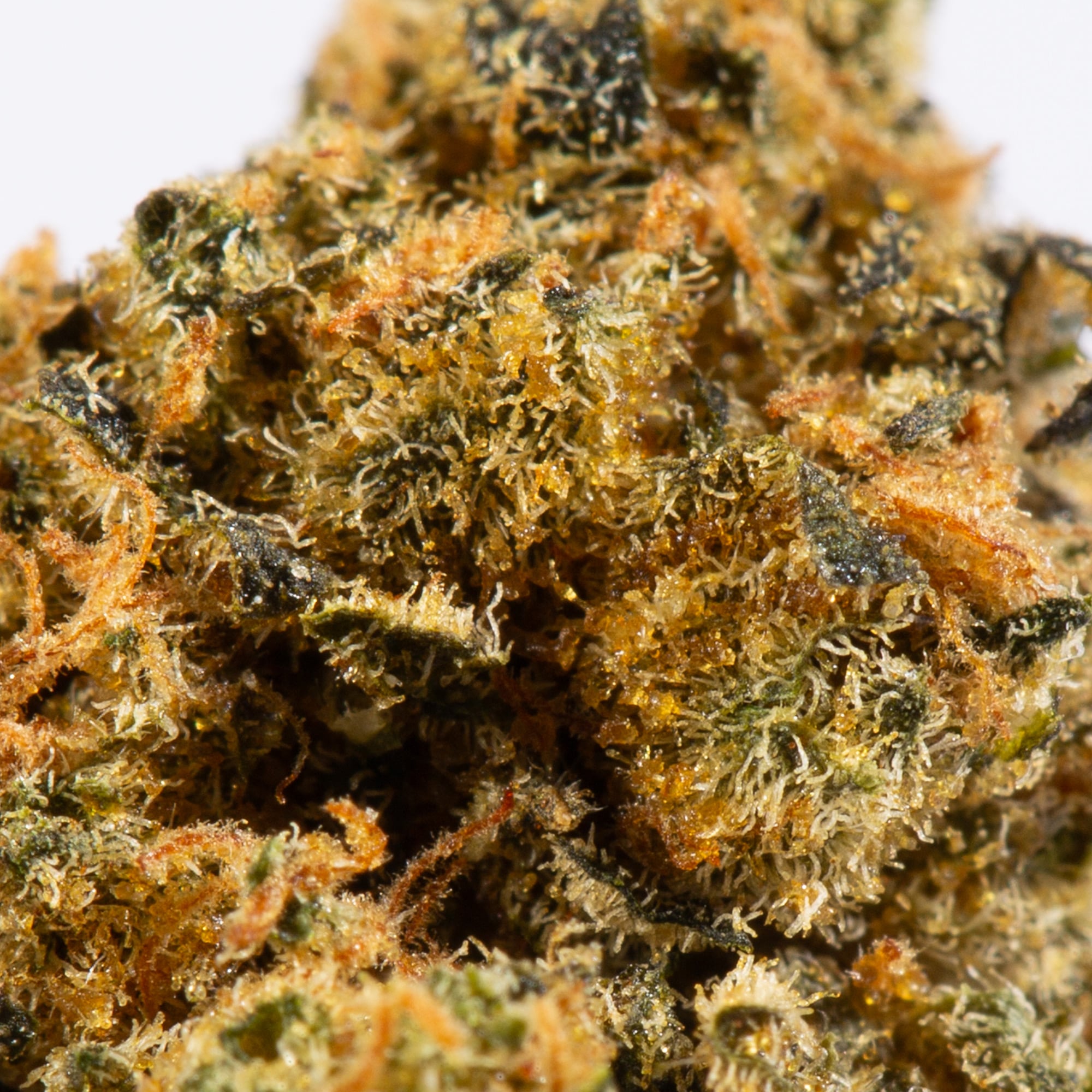 Red Velvet Smalls (AA) - Image 4