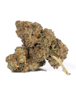 Animal Cookies (AAA)