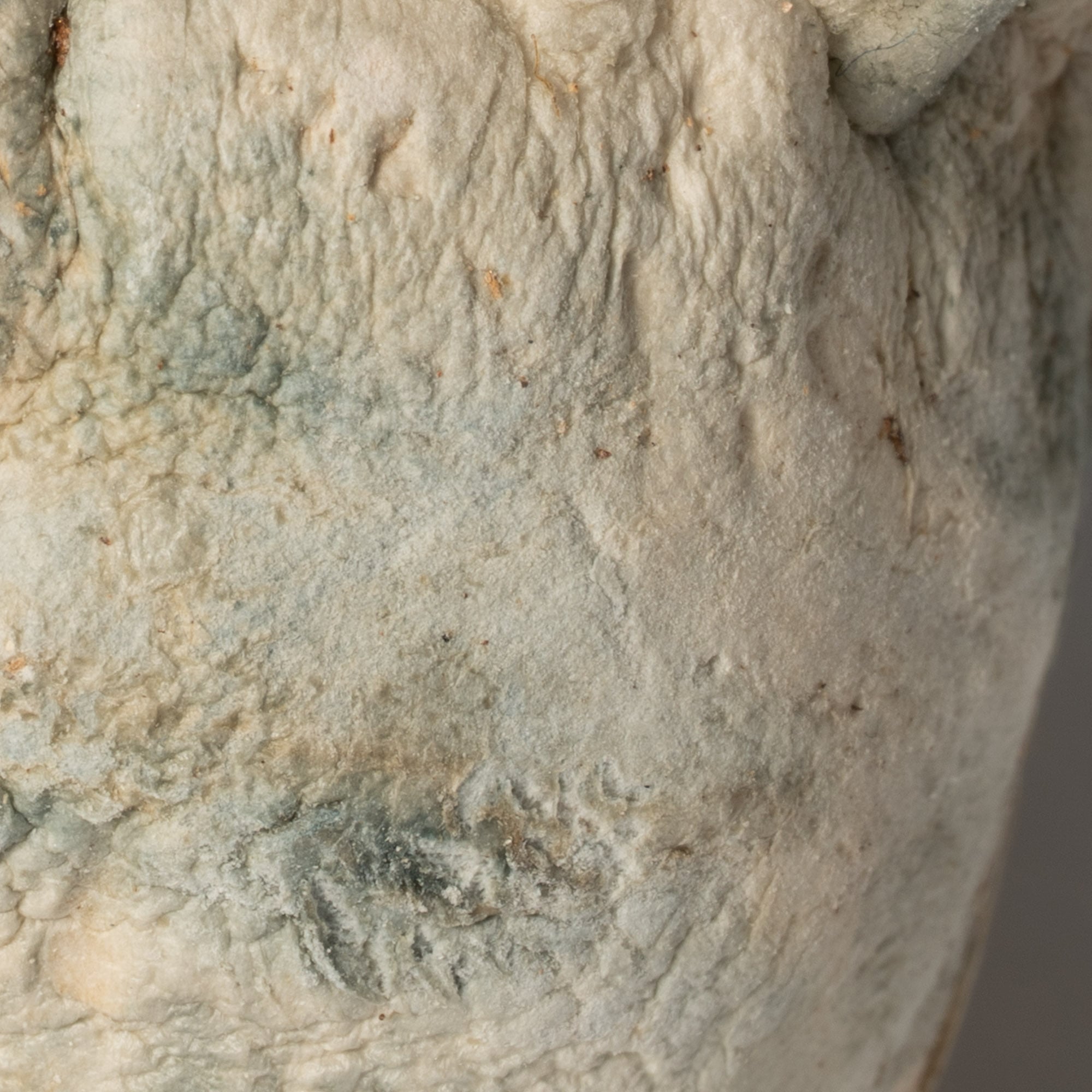 Squat Mak Mushrooms - Image 3