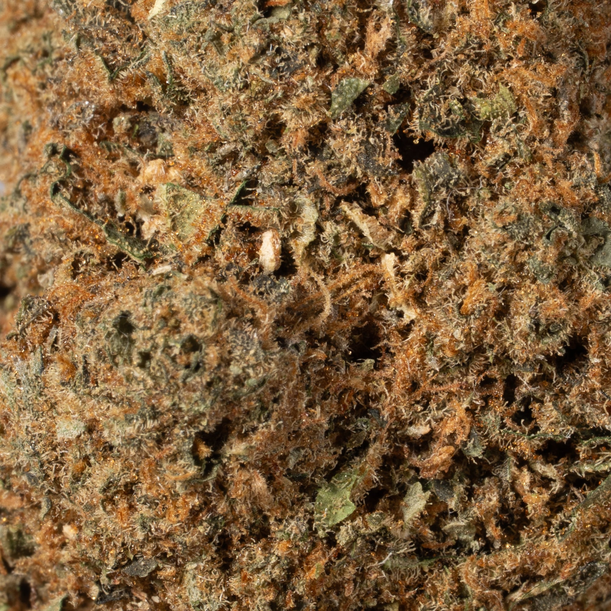 Strawberry Cough (A) - Image 5