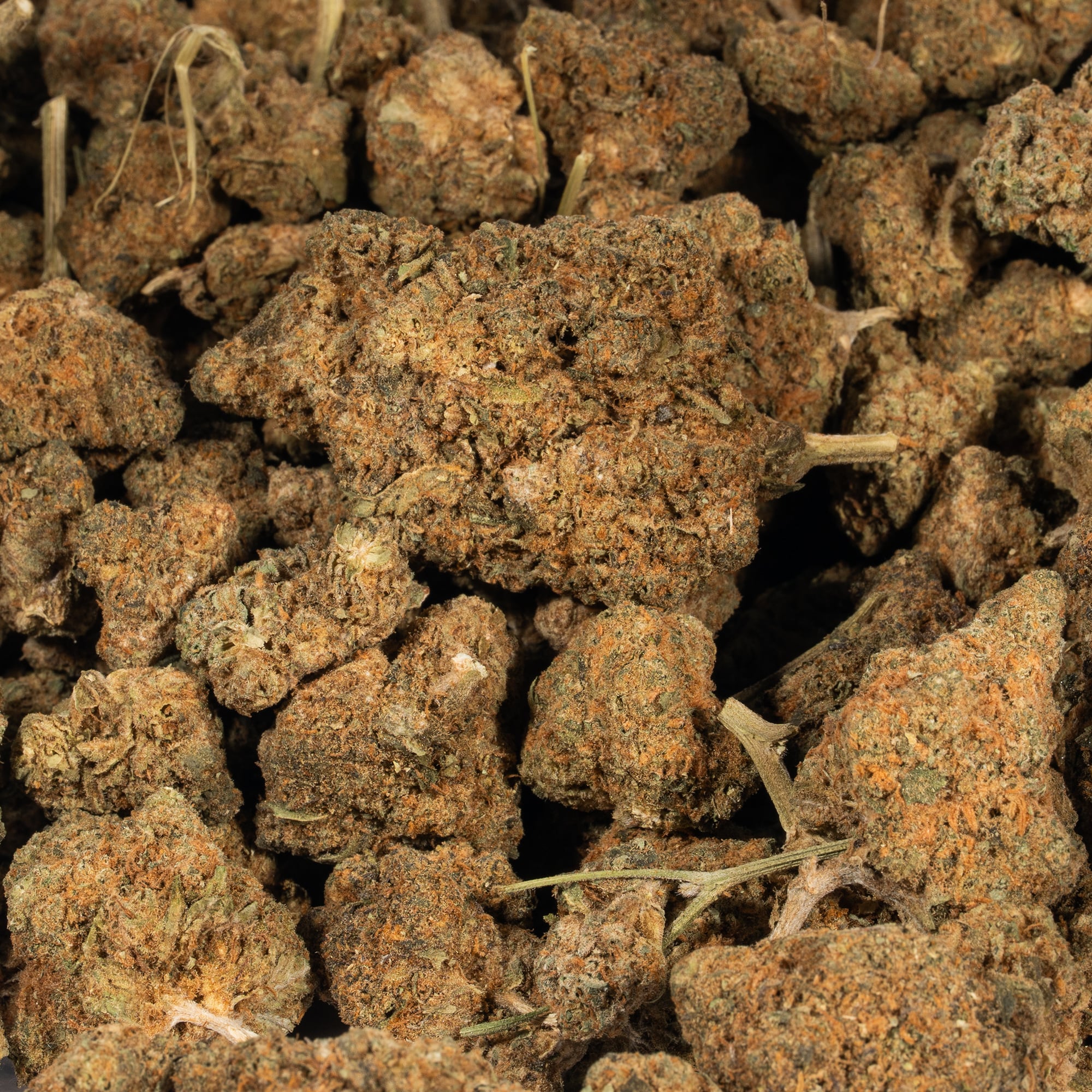 Strawberry Cough (A) - Image 4