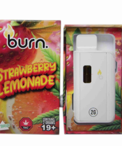 Burn Disposable Vape (2g) - Strawberry Lemonade (Hybrid)