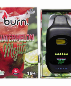 Burn LCD Disposable Vape (3g) - Watermelon Mojito (Hybrid)