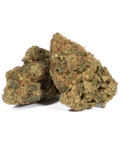 Alaskan Thunder Fuck (AA)