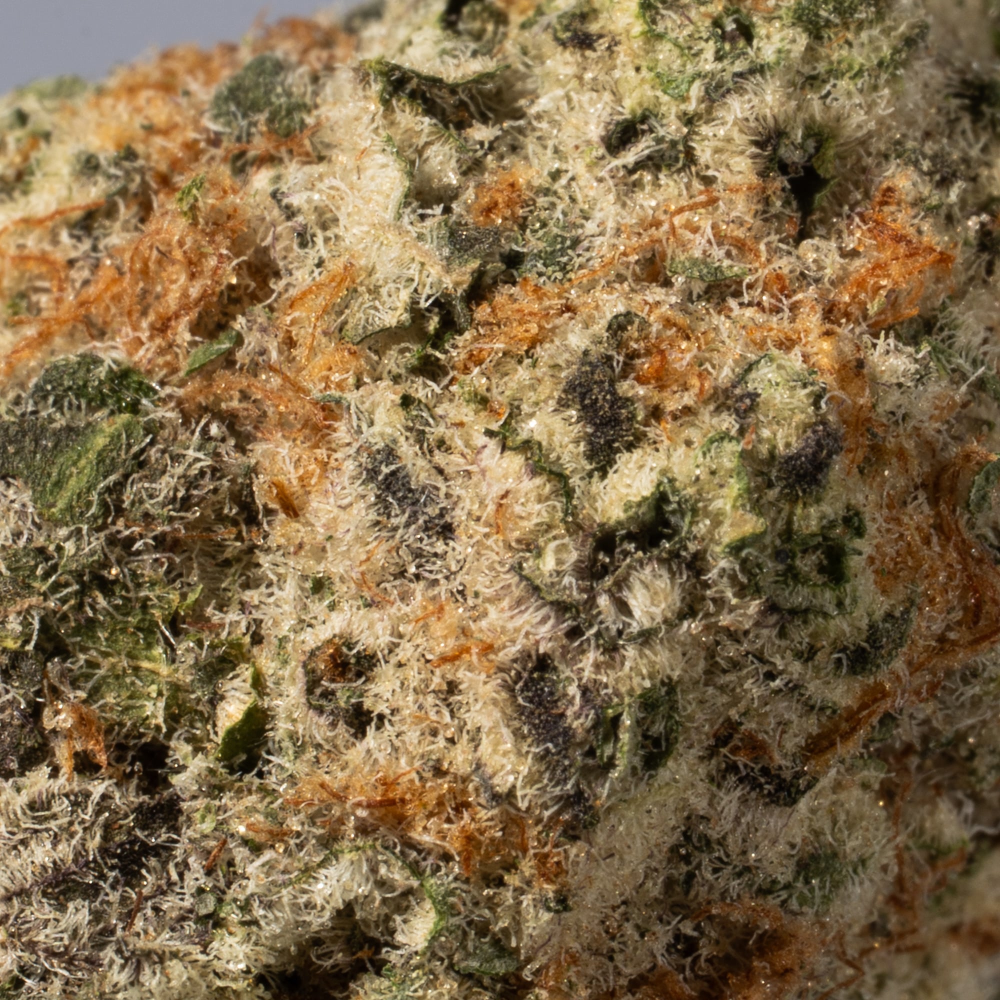Fruity Pebbles (AAA) - Image 5