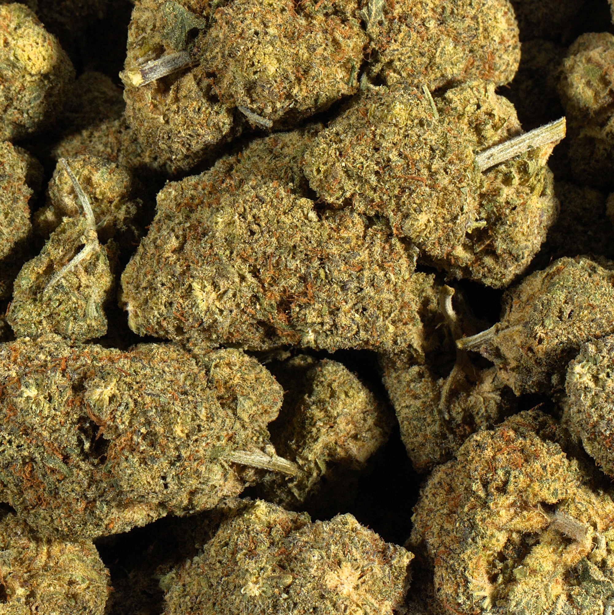 Ace of Spades (AA) - Image 3