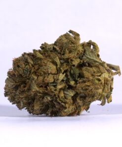 Tropical Breeze (AA)
