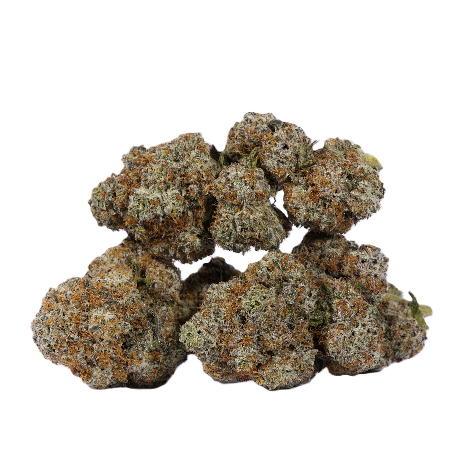 Cactus (AAAA) - Image 2