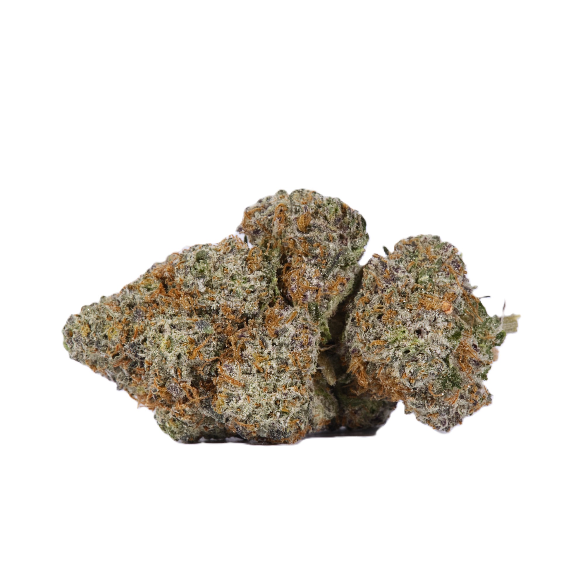 Cactus (AAAA) - Image 3