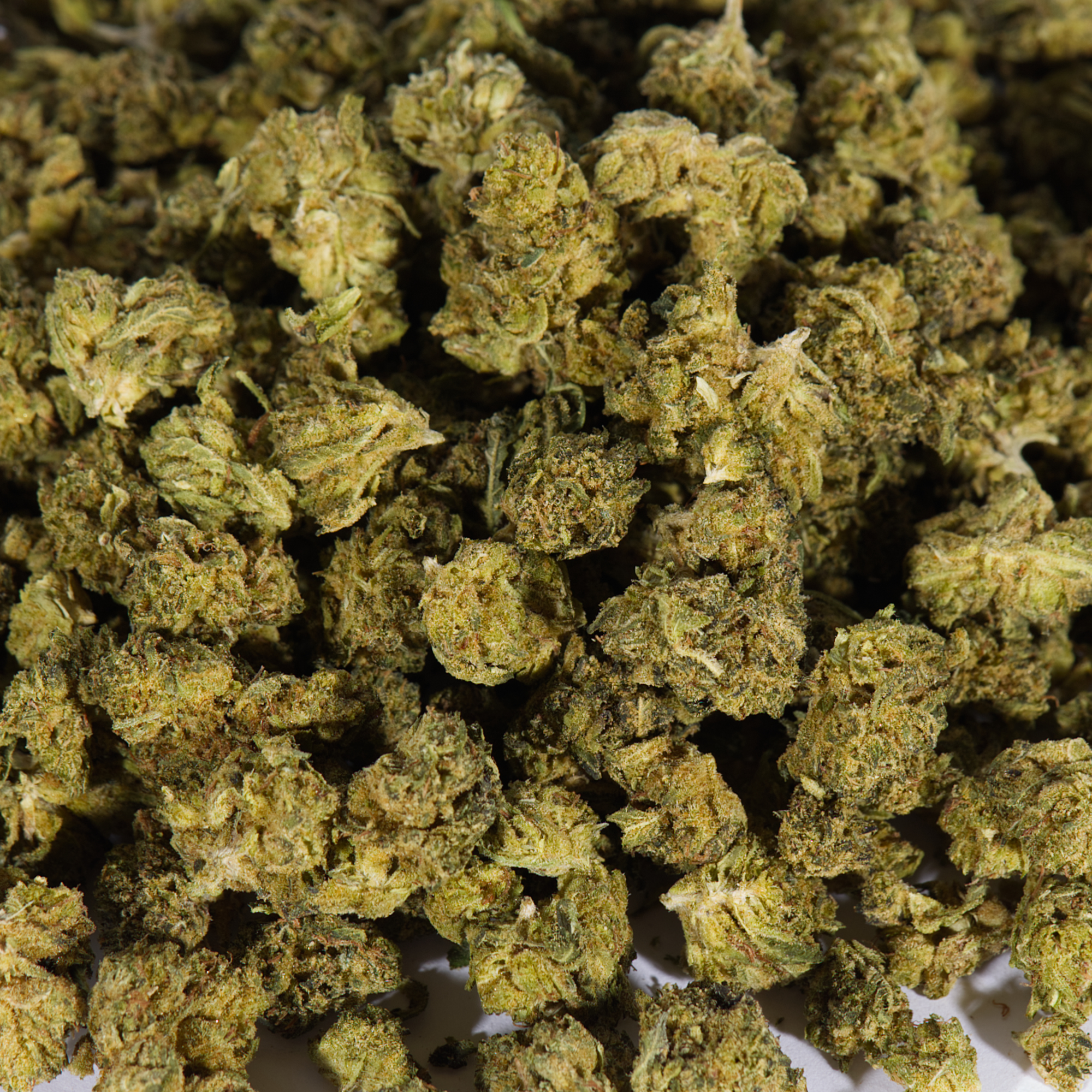 Rocktar Smalls (AA) - Image 2